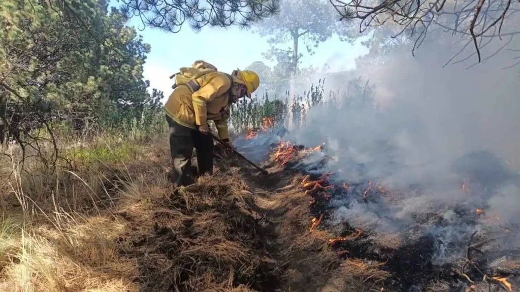 Puebla registra dos incendios activos en Chilchotla e Ixtacamaxtitlán