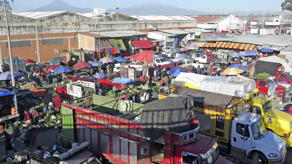 Barda perimetral de Central de Abasto, lista a fin de año