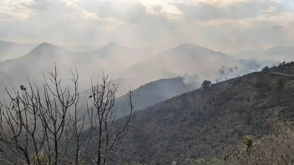 Sigue activo incendio en libres; van 100 brigadistas más