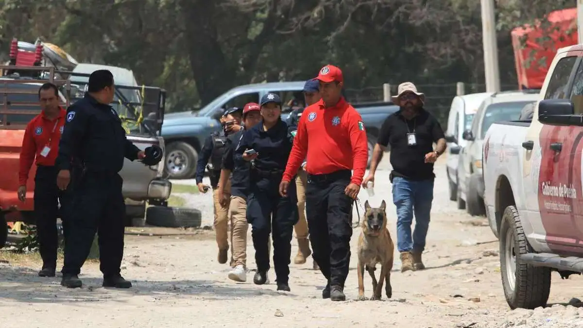 Hallan más restos humanos en Bosques de Santa Anita