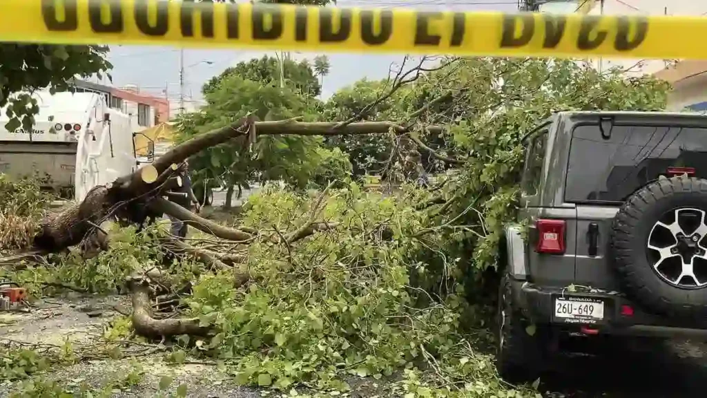 Caen postes y árboles tras intensa granizada en Puebla