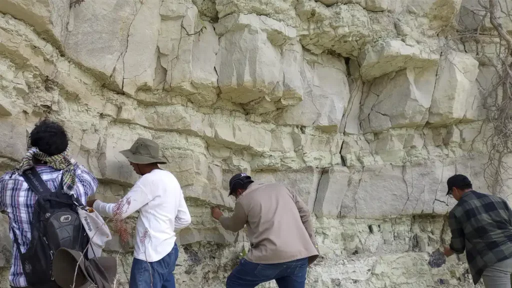 Un fémur de mamut y cuernos de bisonte, bajo custodia del Laboratorio de Paleobiología de la BUAP