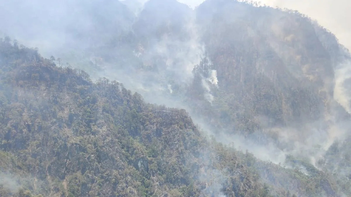 Por incendios forestales, 16 escuelas suspenden clases en Cuautempan y Quimixtlán