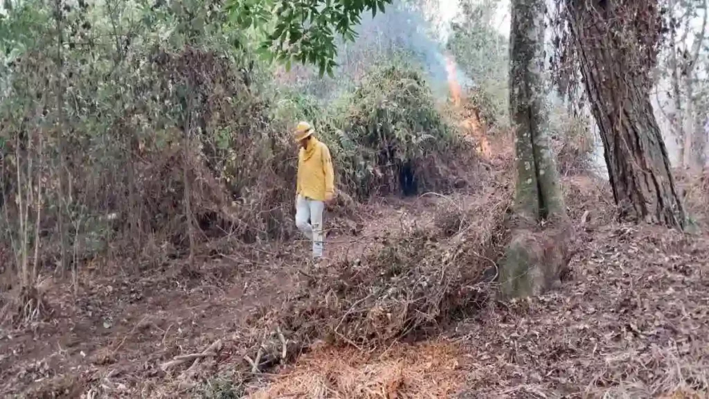 Sergio Salomón exhorta a hacer frente común contra incendios forestales