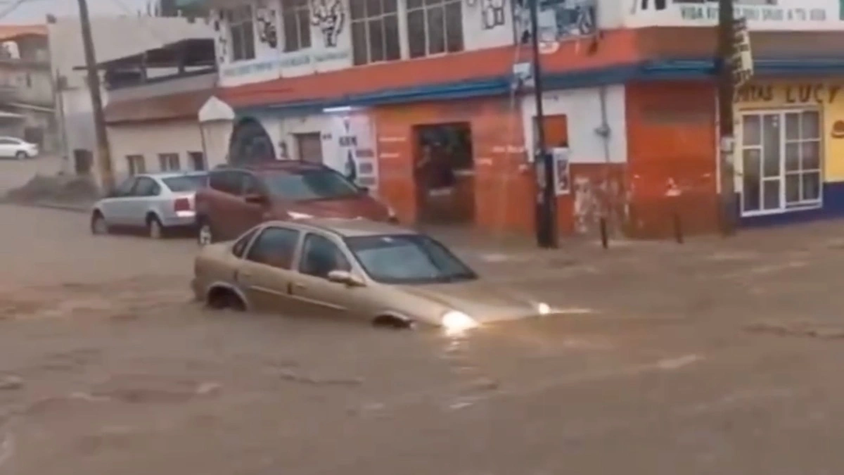 Dos bardas y un árbol derribados, vehículos varados y encharcamientos, dejó lluvia en Puebla Capital