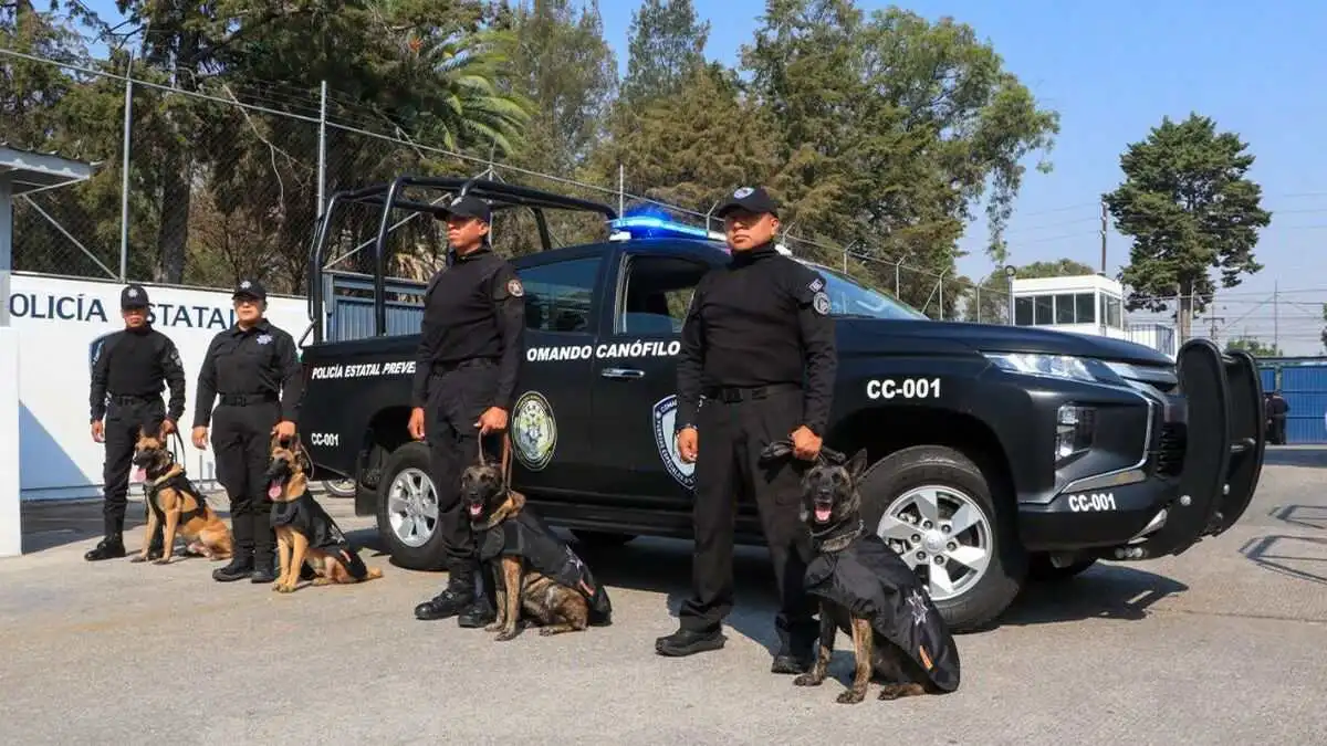 Comando canófilo de la SSP Puebla recibe certificación internacional