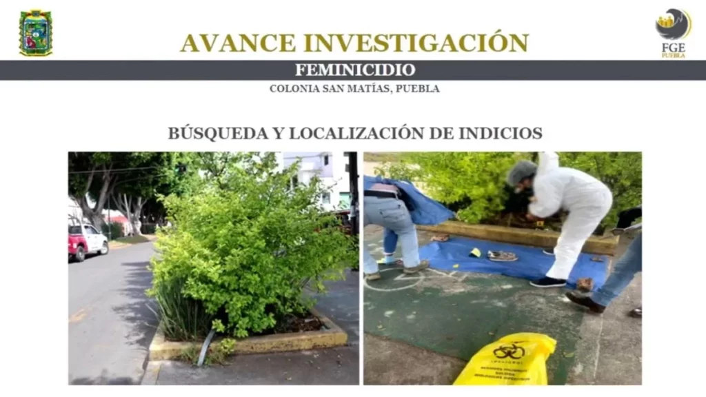 Mujer hallada muerta en una jardinera era indigente y buscan al asesino