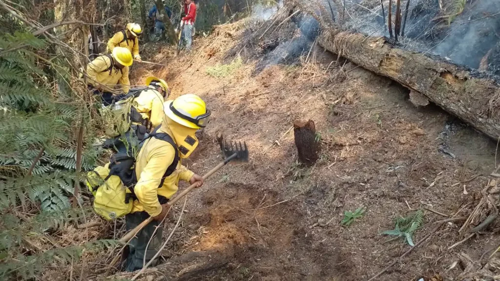 Denuncian ante FGE incendios provocados en cuatro municipios