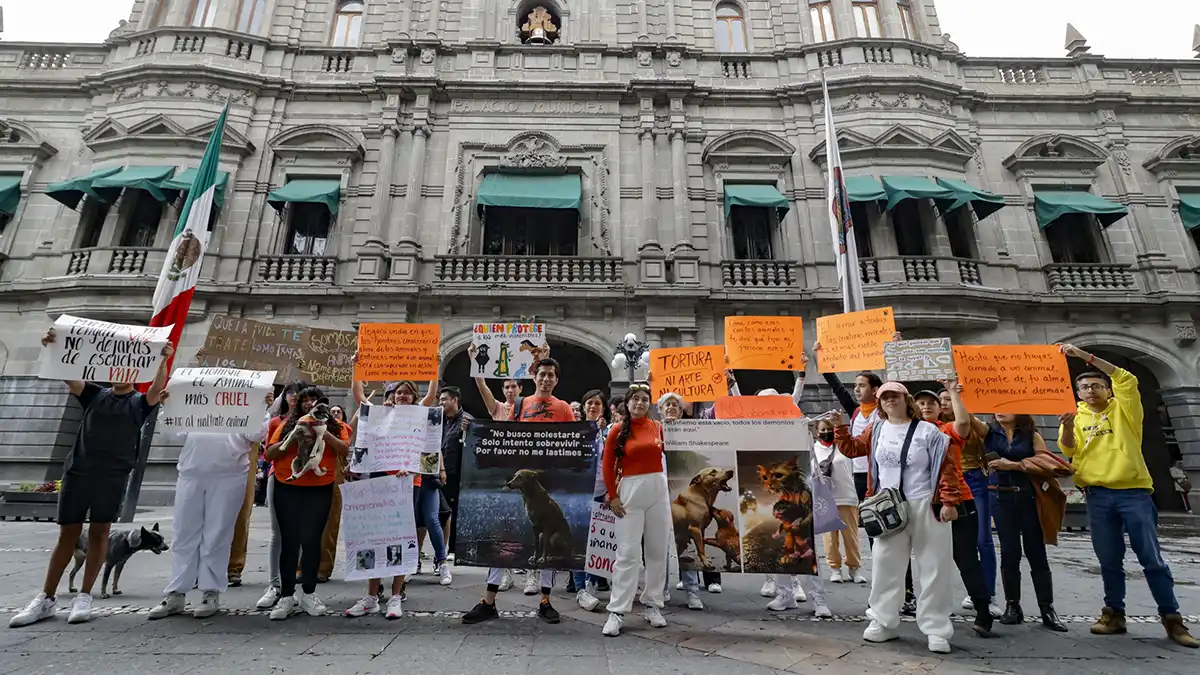 Policías de Puebla, sin capacitación para atender maltrato animal: activistas