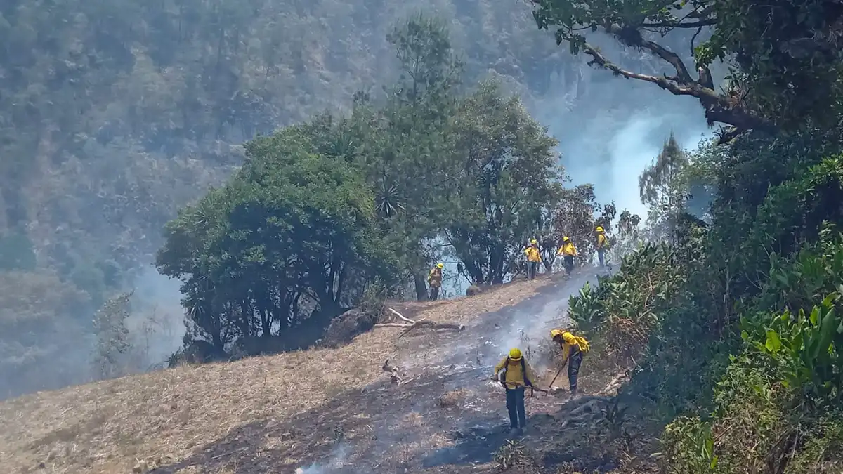 Puebla registra 17 incendios forestales en 24 horas: Medio Ambiente