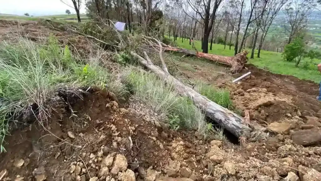 Medio Ambiente clausura apertura de camino en Ocoyucan por derribar árboles sin autorización