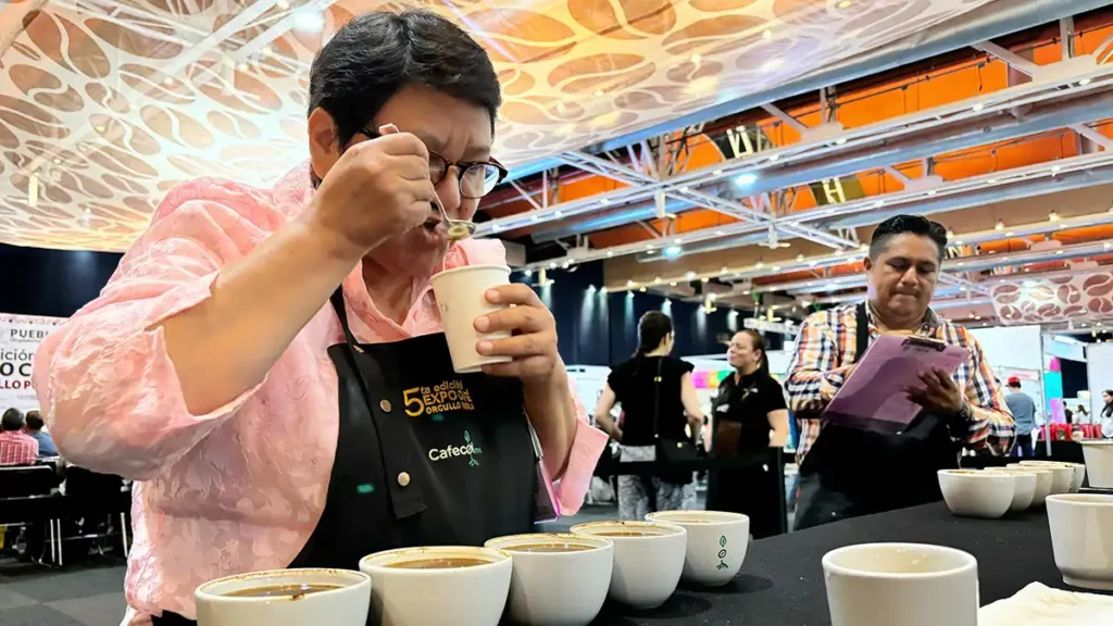 Huitzilan de Serdán produce el mejor café de Puebla: expertos