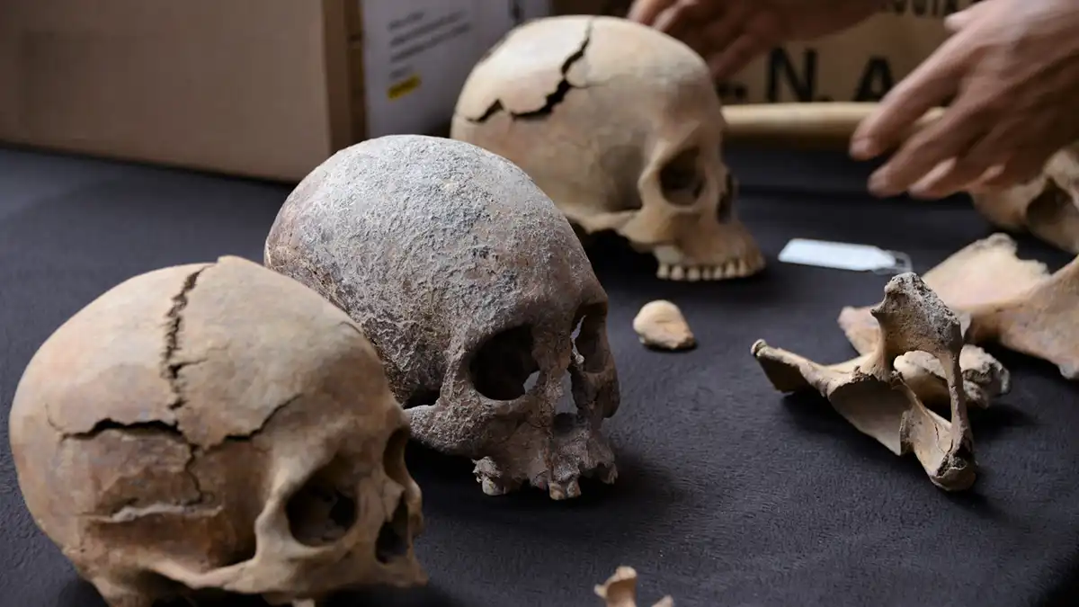 Hallan más de 100 restos óseos prehispánicos en terrenos del AIFA