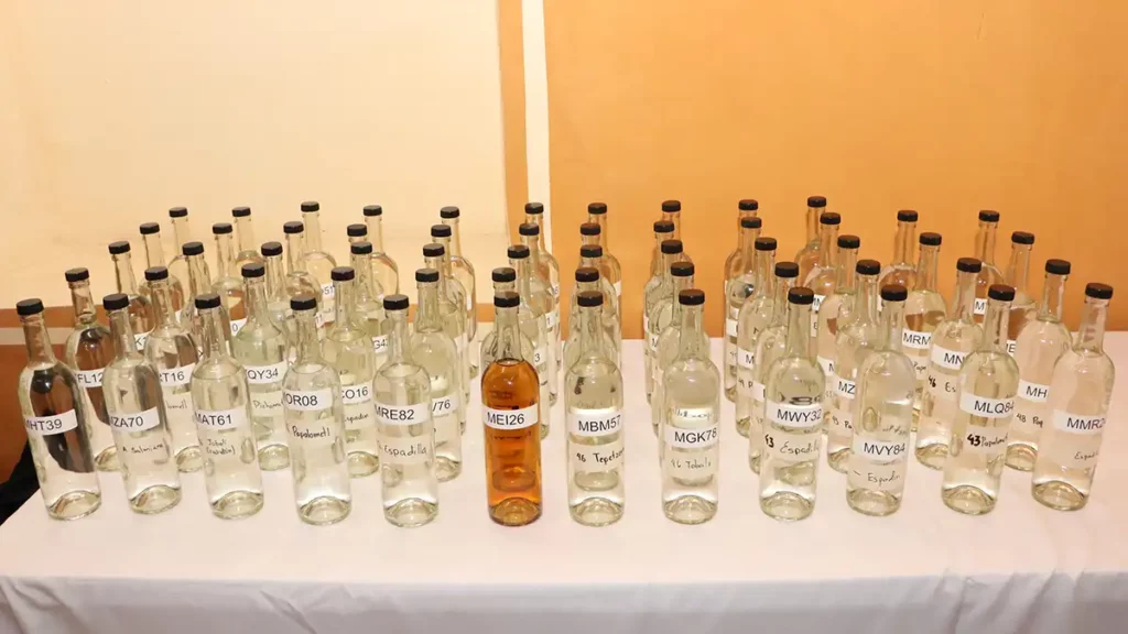 Mezcal de Puebla busca destacar en concurso nacional "Premio al Origen 2024"