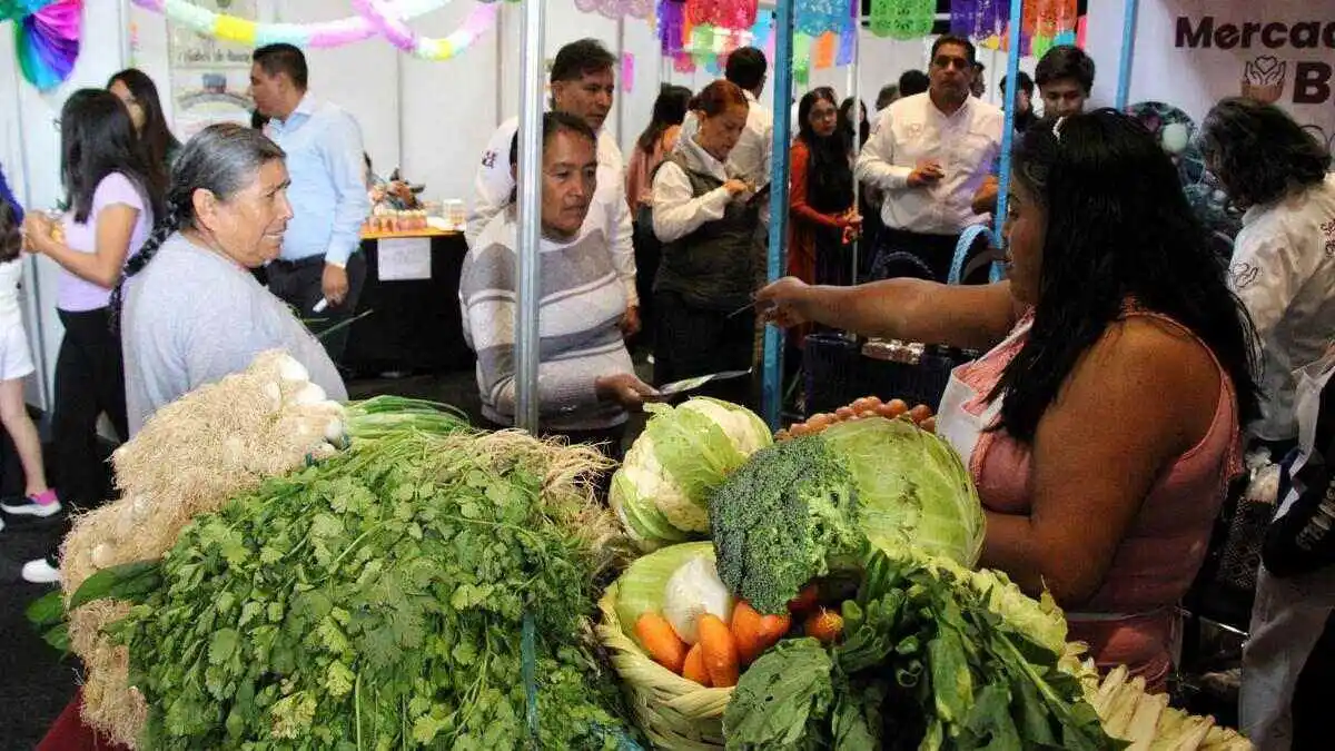 Más de 200 organizaciones participan en la Puebla Expo Cooperativa 2024