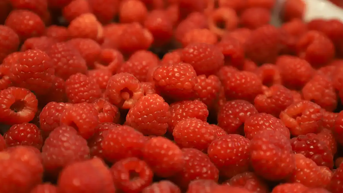 Vive la magia de la Feria de las Berries en Huejotzingo