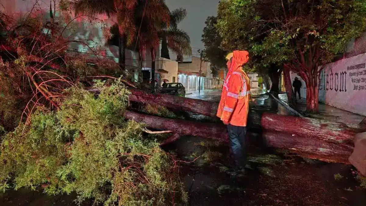 Lluvias dejan anegaciones, dos choques y un árbol caído en Puebla Capital