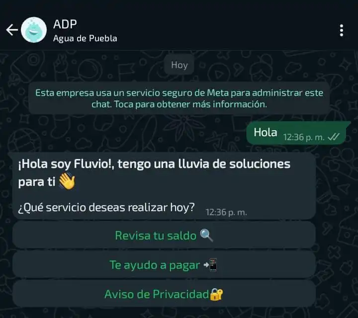 Agua de Puebla lanza chatbot para consulta de saldo y pago en línea