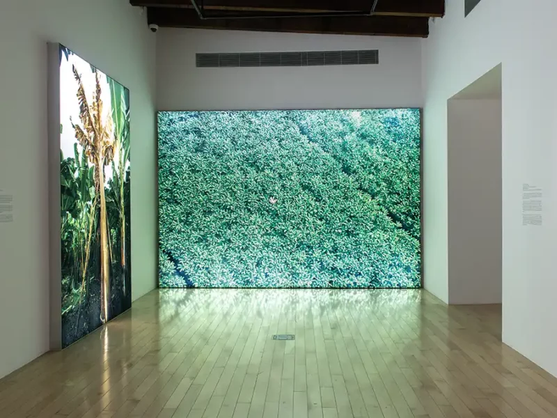 Llega al Museo Amparo el Flash 3.0: Focus de Arte Contemporáneo