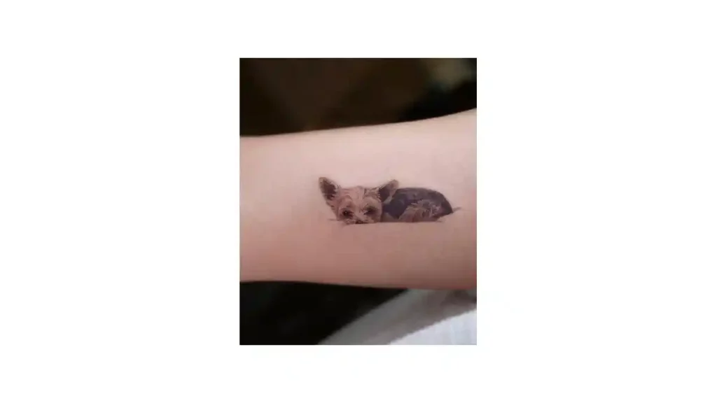 Tatuaje de un perro pequeño en el brazo.