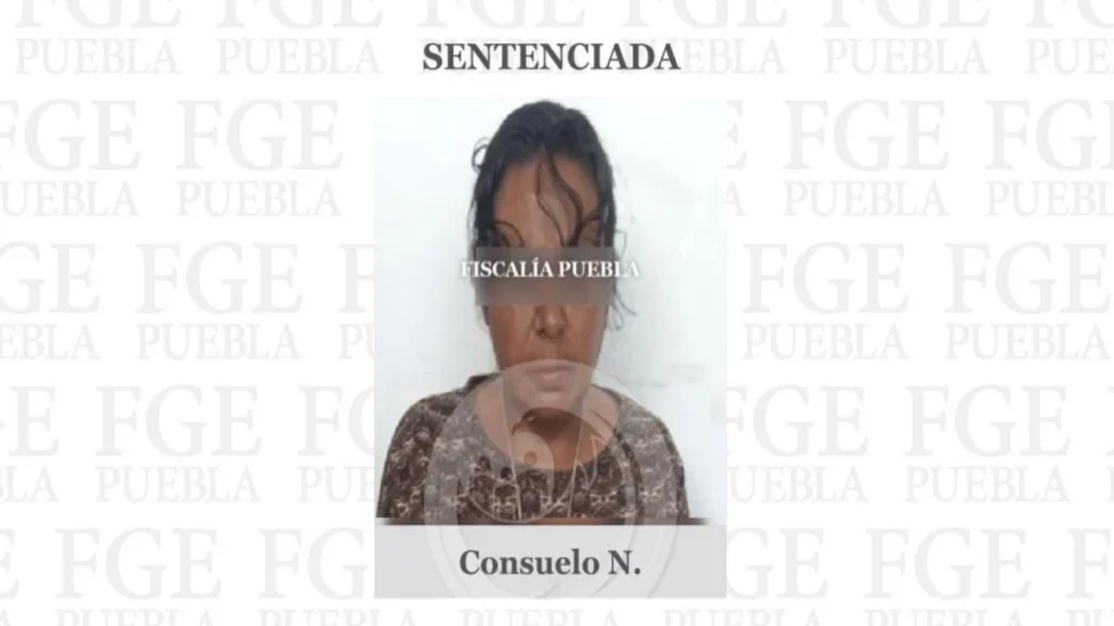 Mujer "mataperros" de Amalucan estará más de dos años en la cárcel