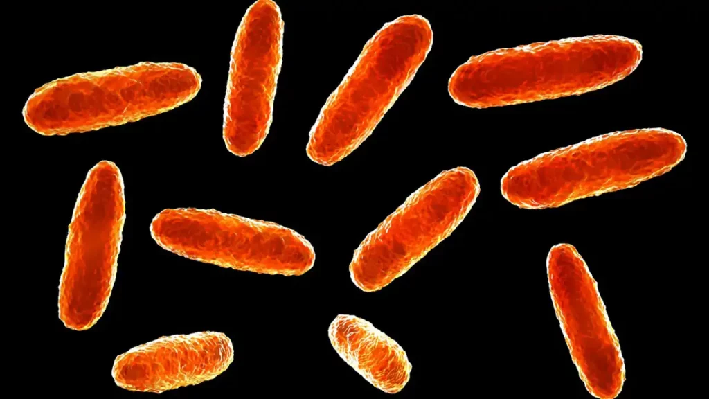 Empresa señalada del brote de Klebsiella oxytoca también operó en Puebla