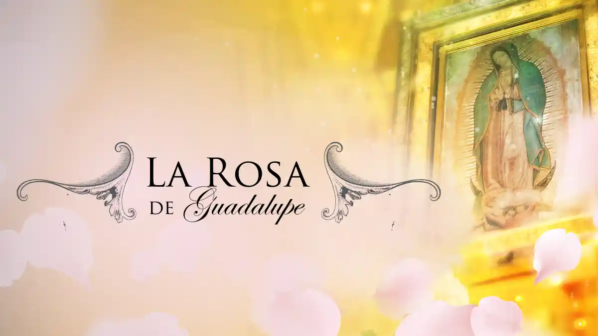 Programa de televisión La Rosa de Guadalupe.