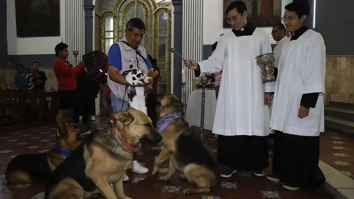 Poblanos llevan a mascotas a recibir bendición