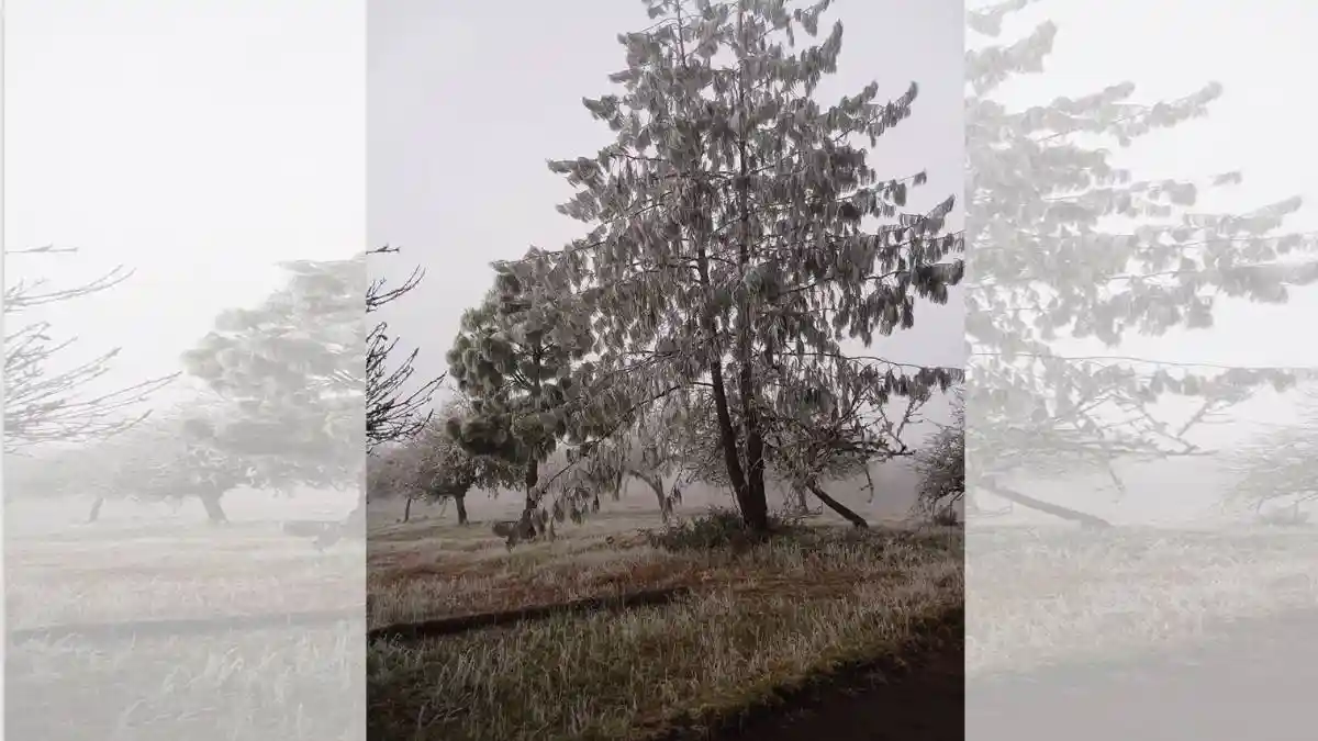 Cae agua nieve en la sierra norte; Zacatlán y Teziutlán a -1 grado