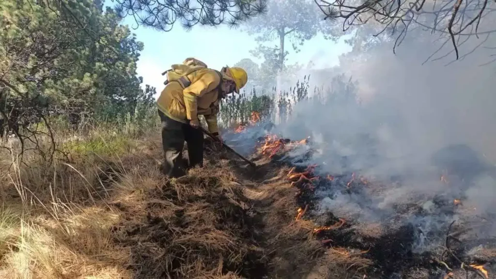 Puebla tendrá Guardia Forestal; combatirá incendios y tala clandestina